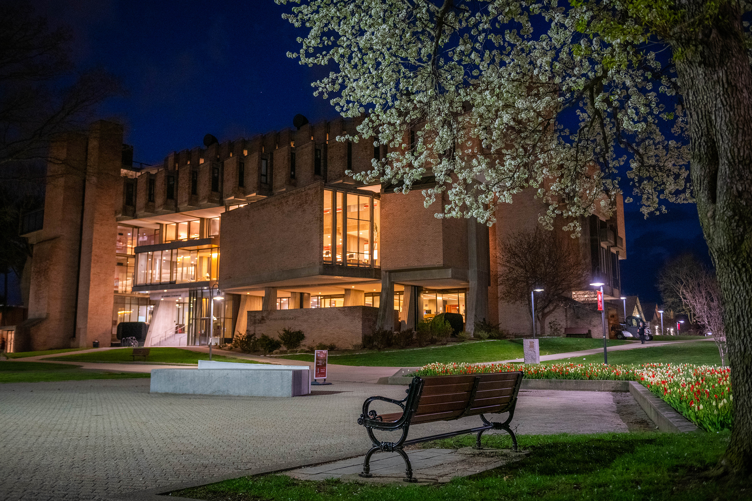 Goddard Library -  night time view with benches