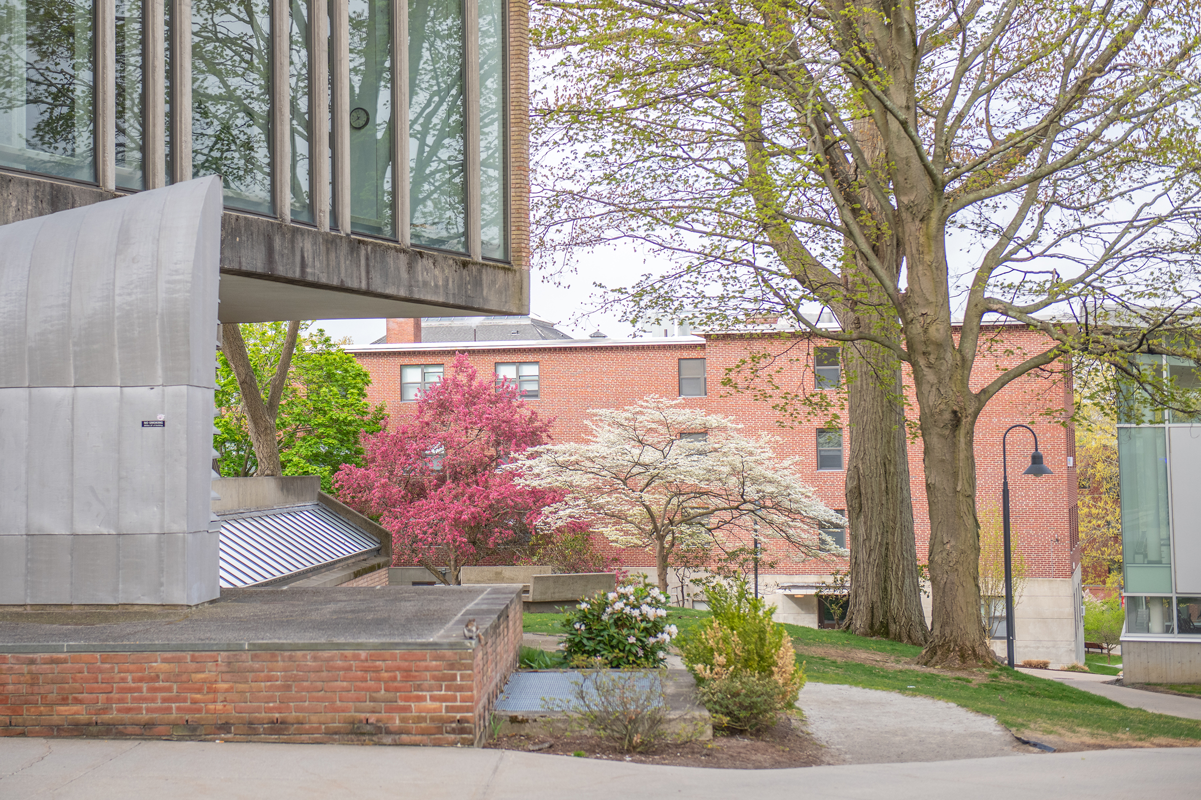 Goddard Library - outside back view