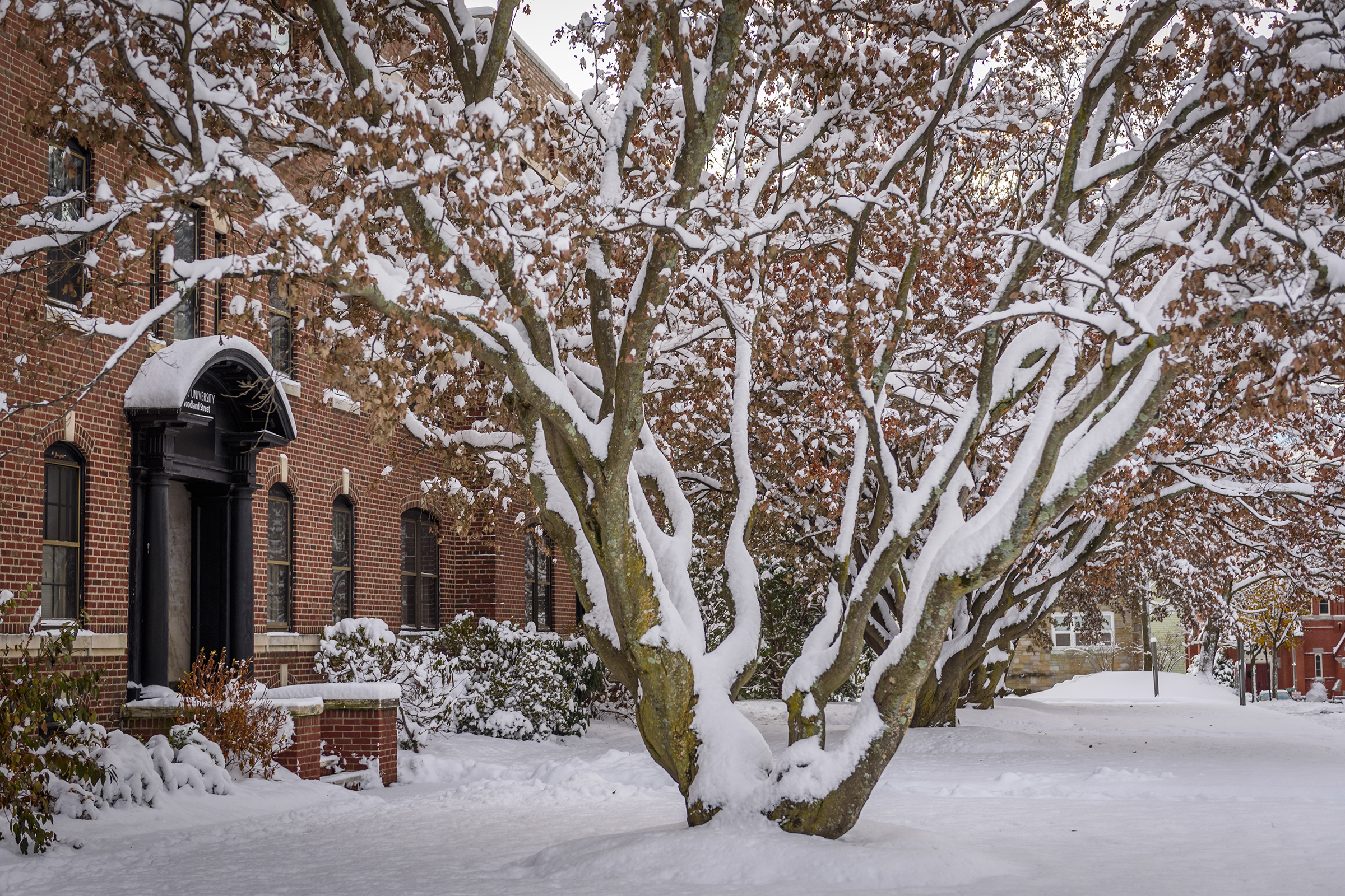 information technology building - winter scene