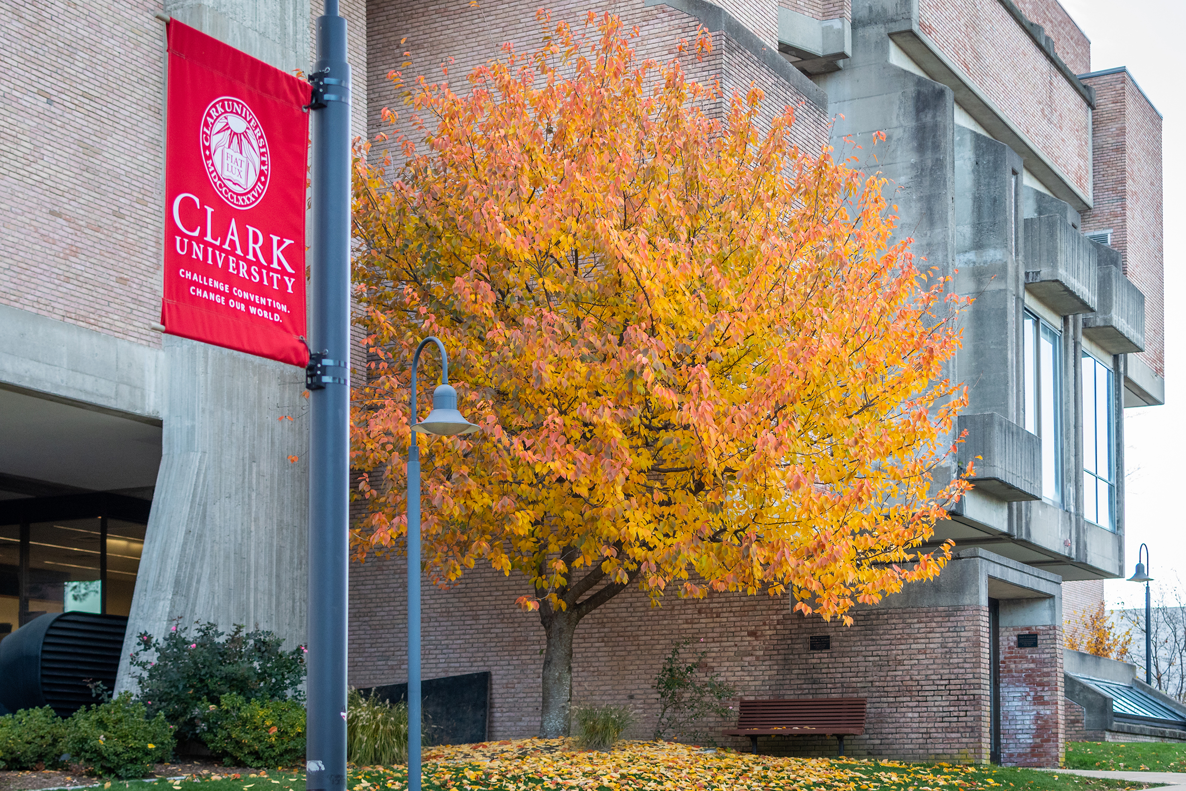 Goddard Library - fall leaves