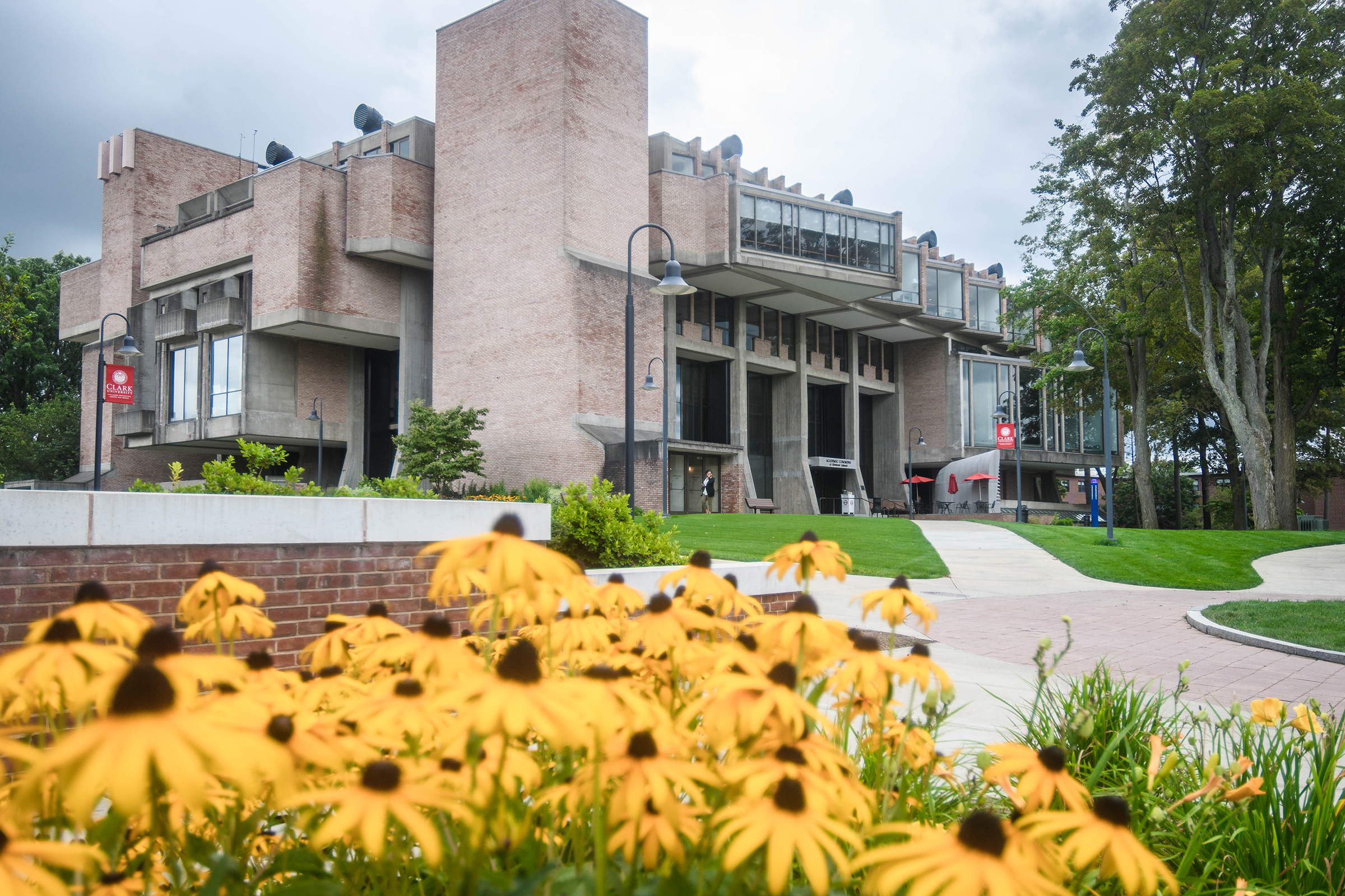 Goddard Library - sunflowers in front of building
