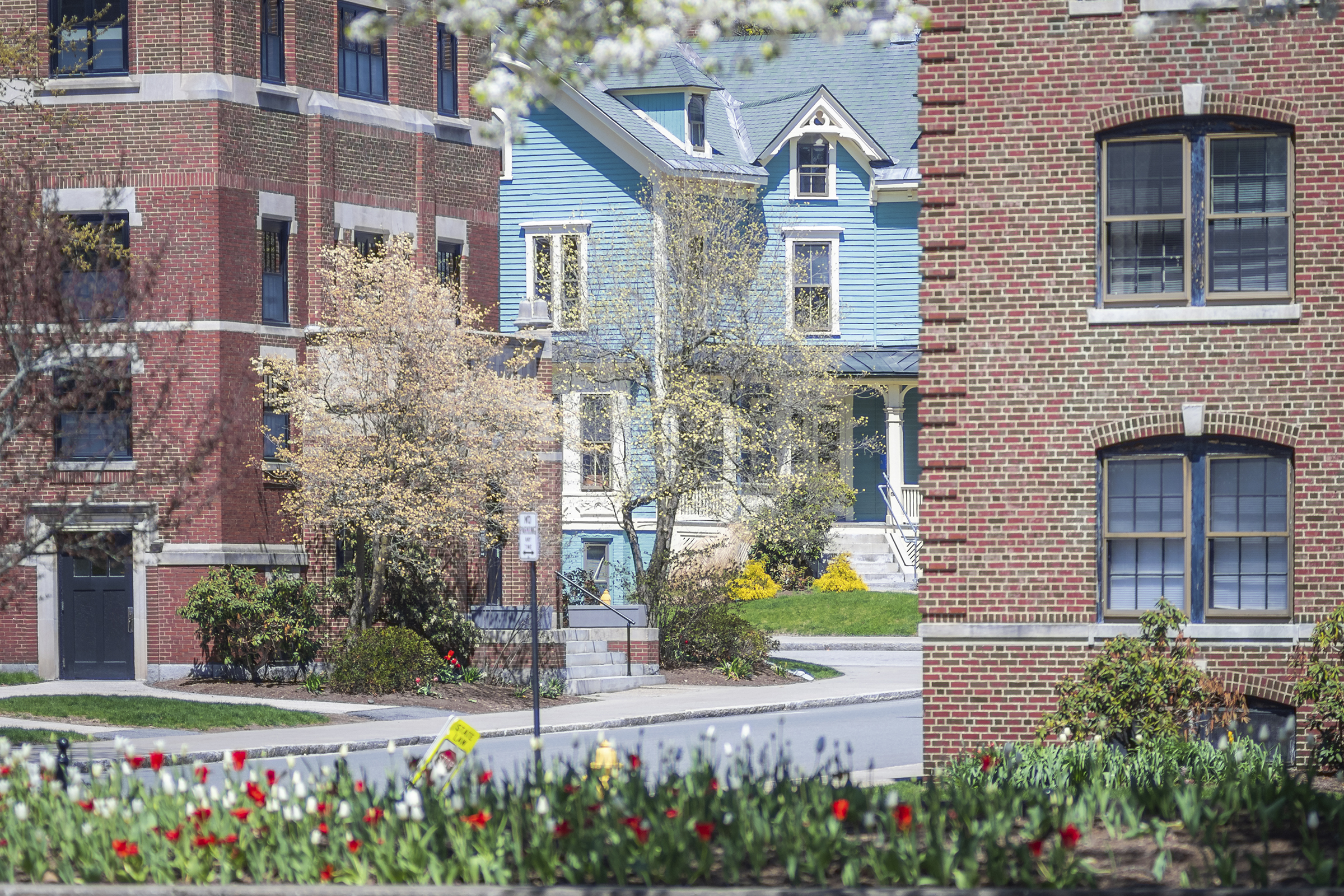 information technology building - spring flowers