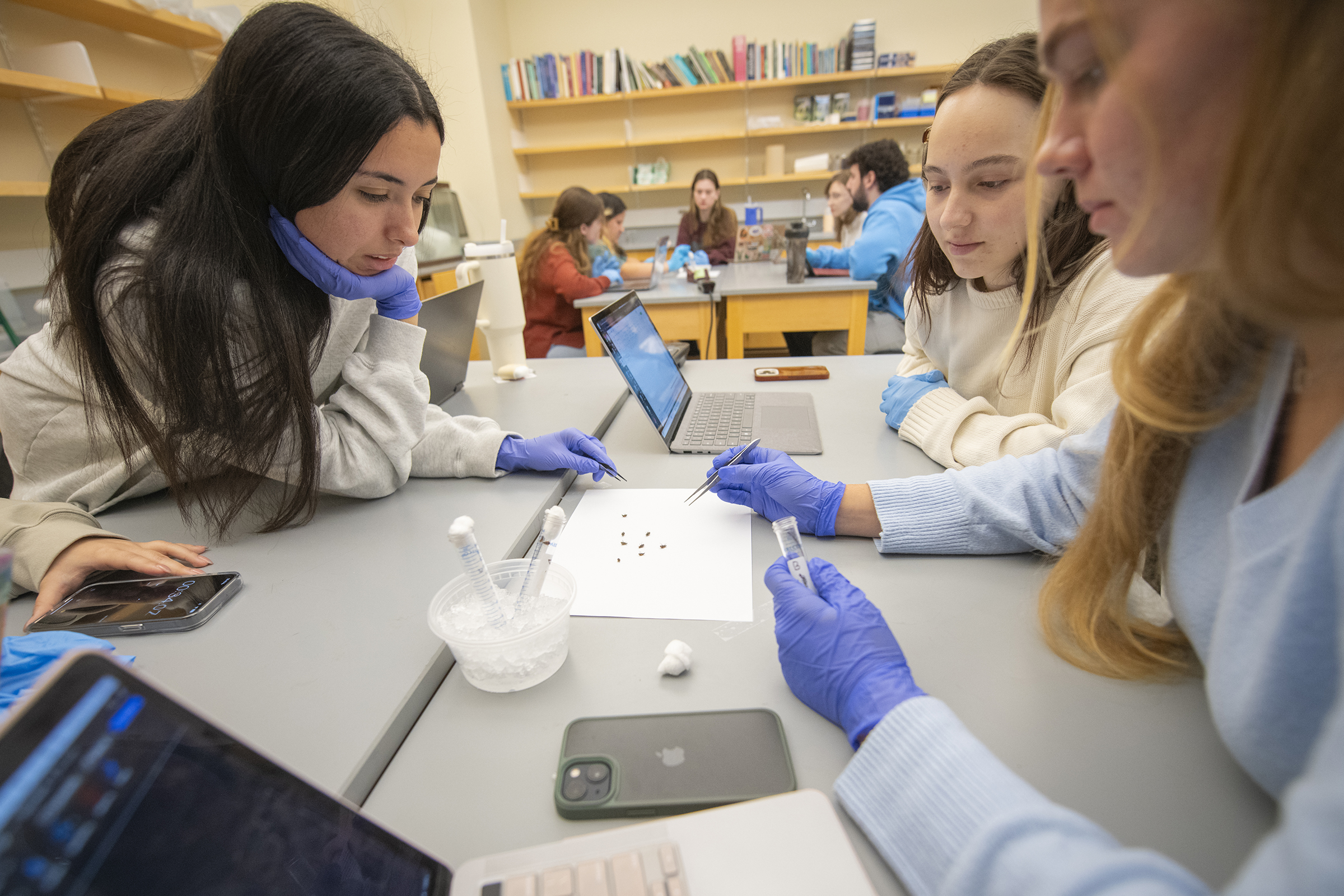 Lasry Center for BioScience - lab area