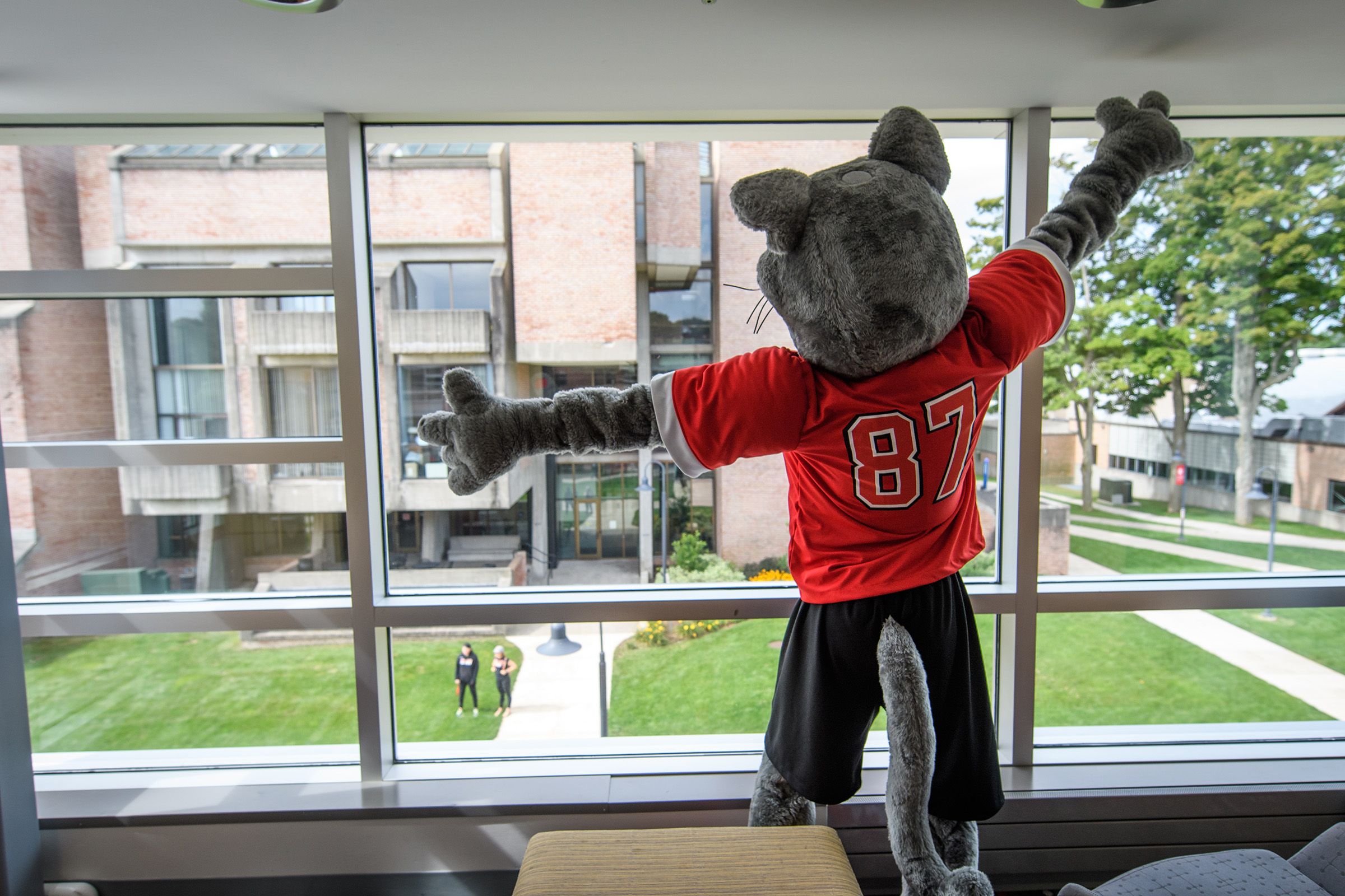 Wright Residence Hall - mascot in window waving to students