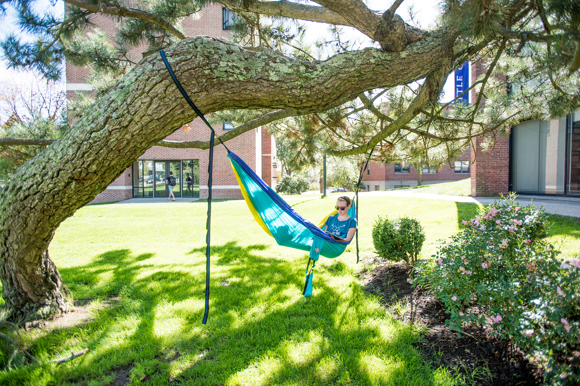 Little Center and Michelson Theater - zen garden
