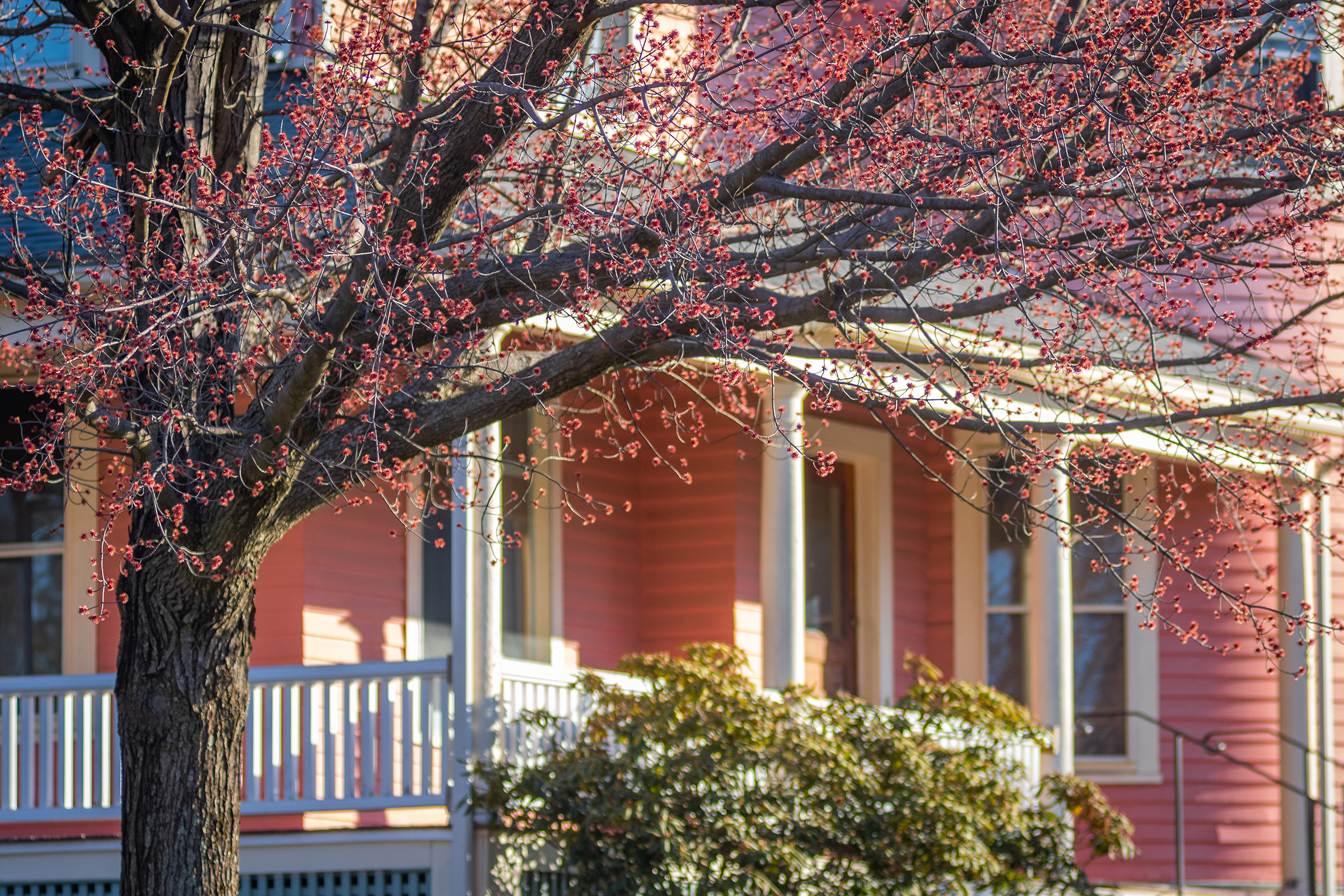 graduate admissions front porch