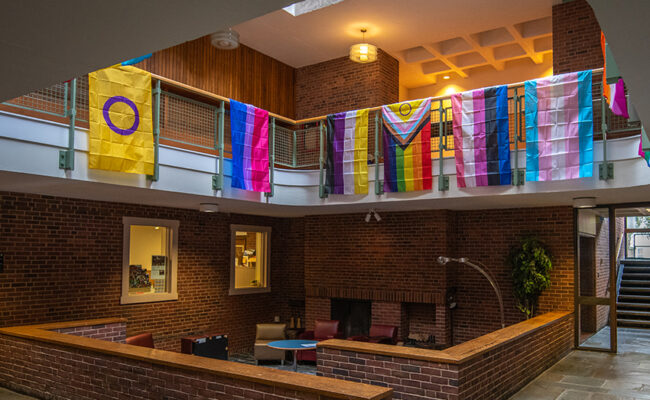 Dana Commons - flags hanging over railings