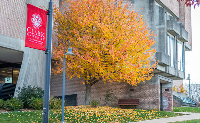 Gordan Library - fall tree