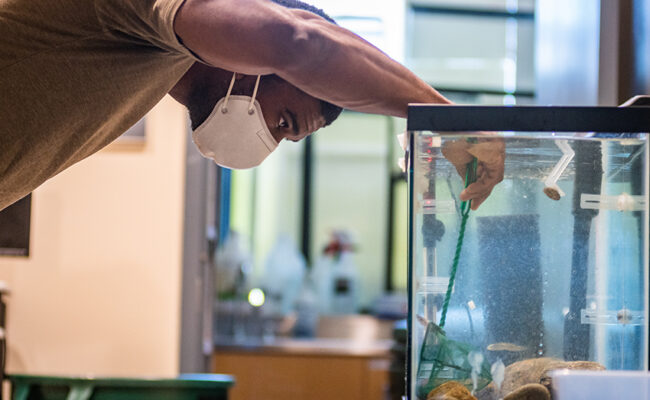 Lasry Center for BioSciences student in lab