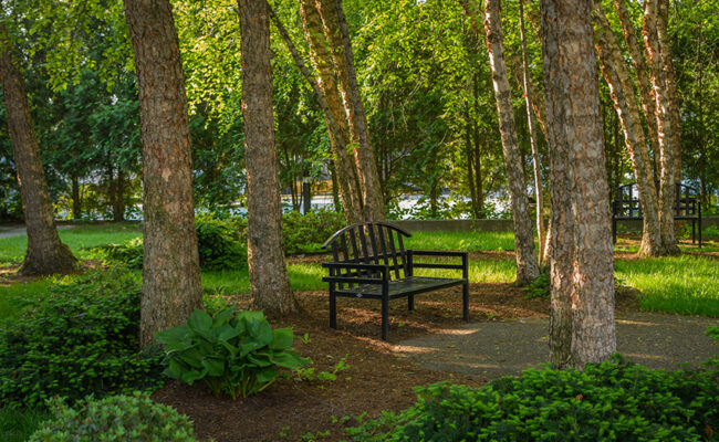 Lasry-Cohen House - - bench in garden