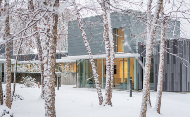 Lasry-Cohen House - - birch trees