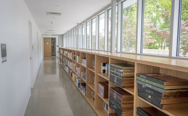 Lasry-Cohen House - books shelves