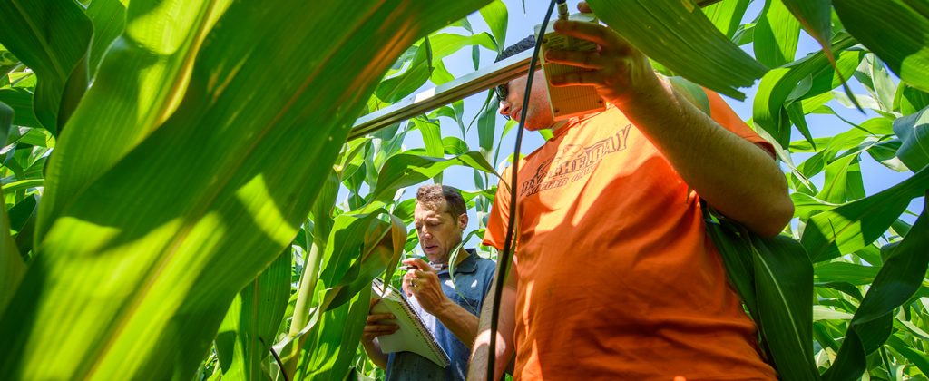 Lydon Estes with student Eli Baldwin measuring corn plant