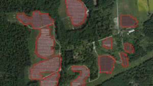 aerial view of land with mapped areas in red