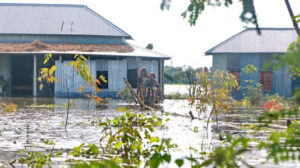 Aid groups warn of serious humanitarian crisis as almost half of Bangladesh had gone under flood water, forcing millions of people to flee their homes for shelters. In the photos taken from Shibaloy in Manikganj district, almost all the houses in the village are submerged leaving many people marooned on August 20, 2017. Farmers are bearing the brunt of the ongoing flooding as the country’s agriculture department estimated rice and other crops cultivated in half a million hectares of land in 34 districts, out of 64, were washed away.