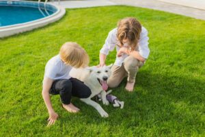 boys with dog on lawn