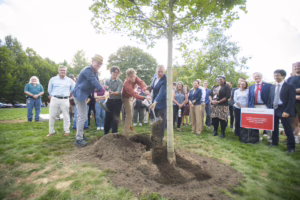 Group of people planting tree