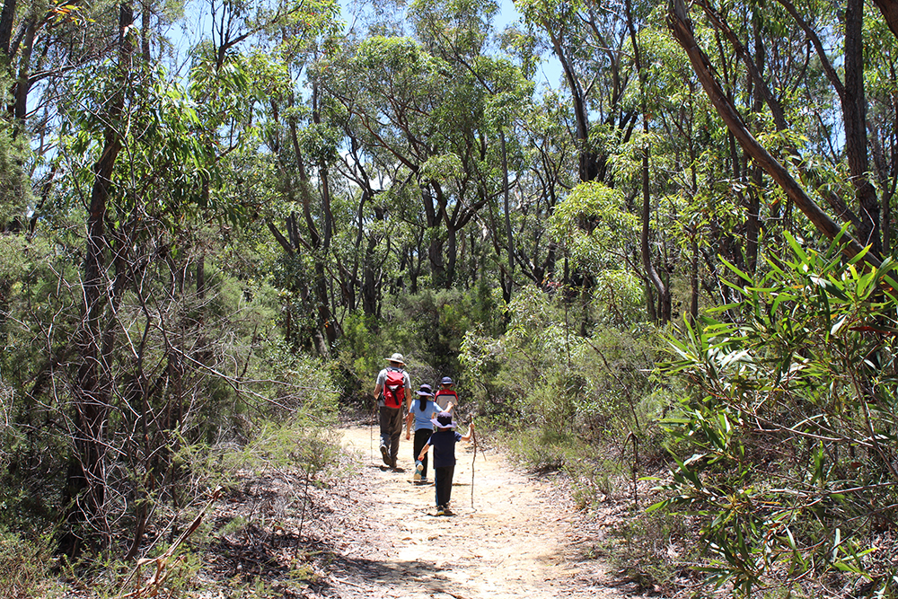 family walking down path in forest