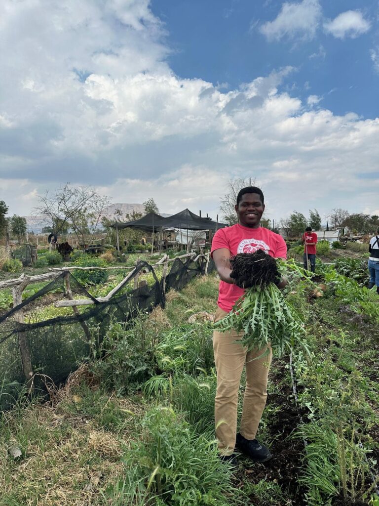 student in vegetable field in south African field