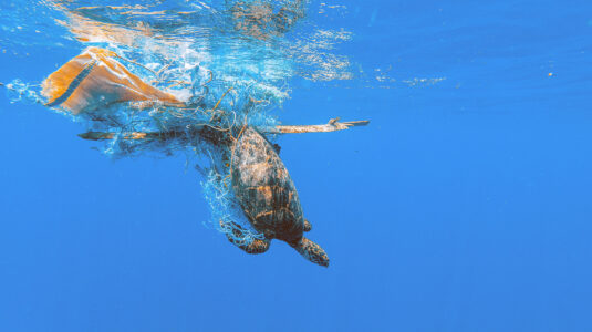 How much might countries benefit from cleaning up plastic pollution in the ocean?