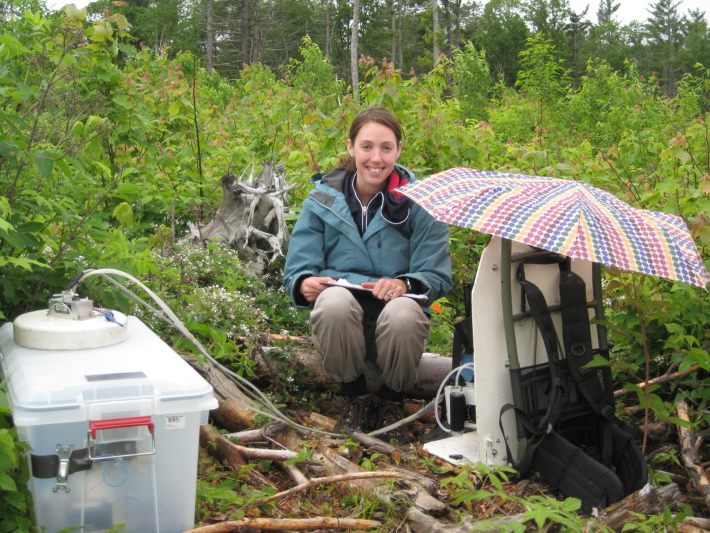Geller Awardee taking woody debris respiration measurements.