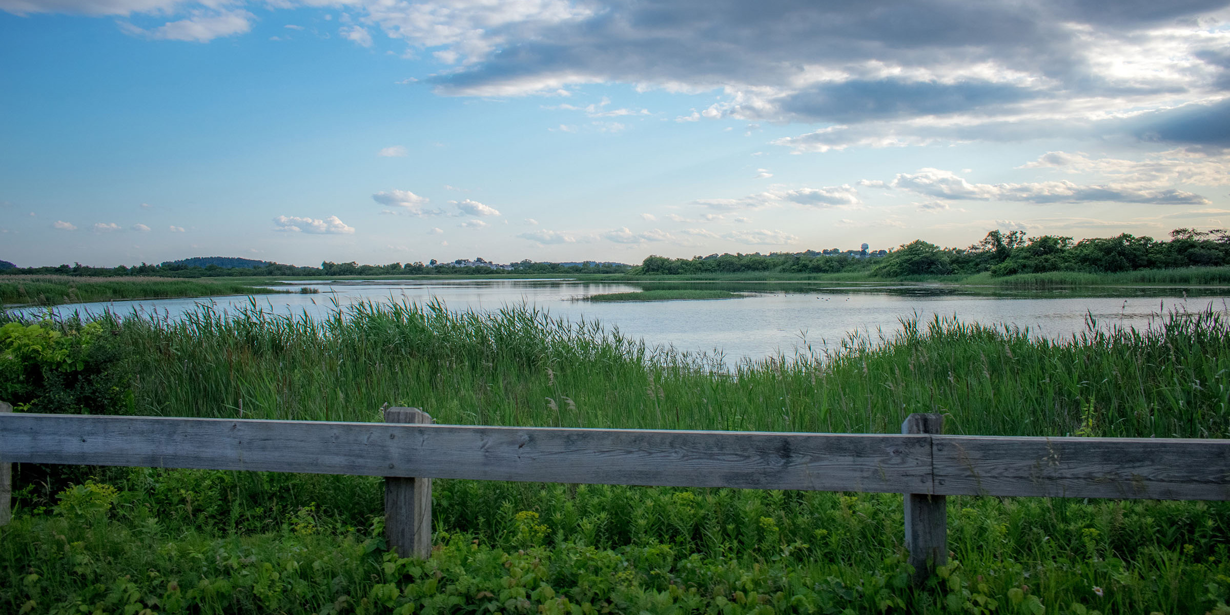 marsh lands