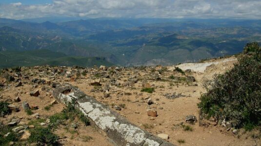 To Imagine a 39-Million-Year-Old Forest, Start Small—Very Small