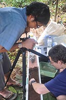 Studying skink behavior