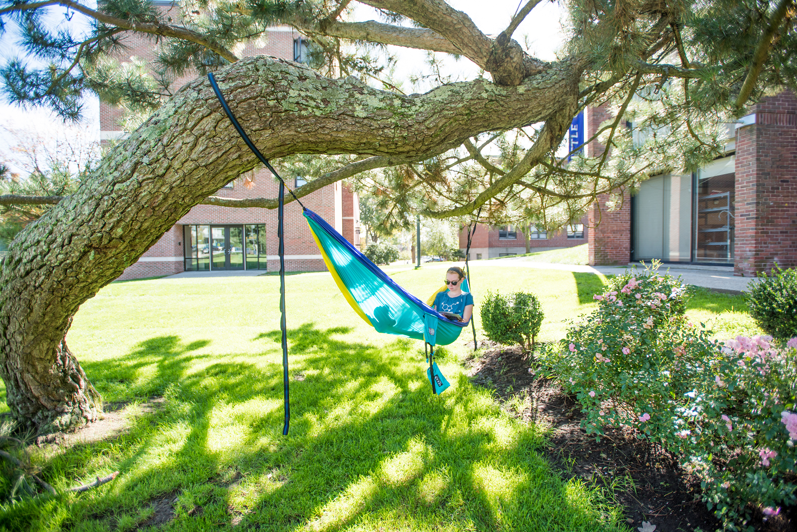 Clark student on a hammock in the Little Center Zen Garden