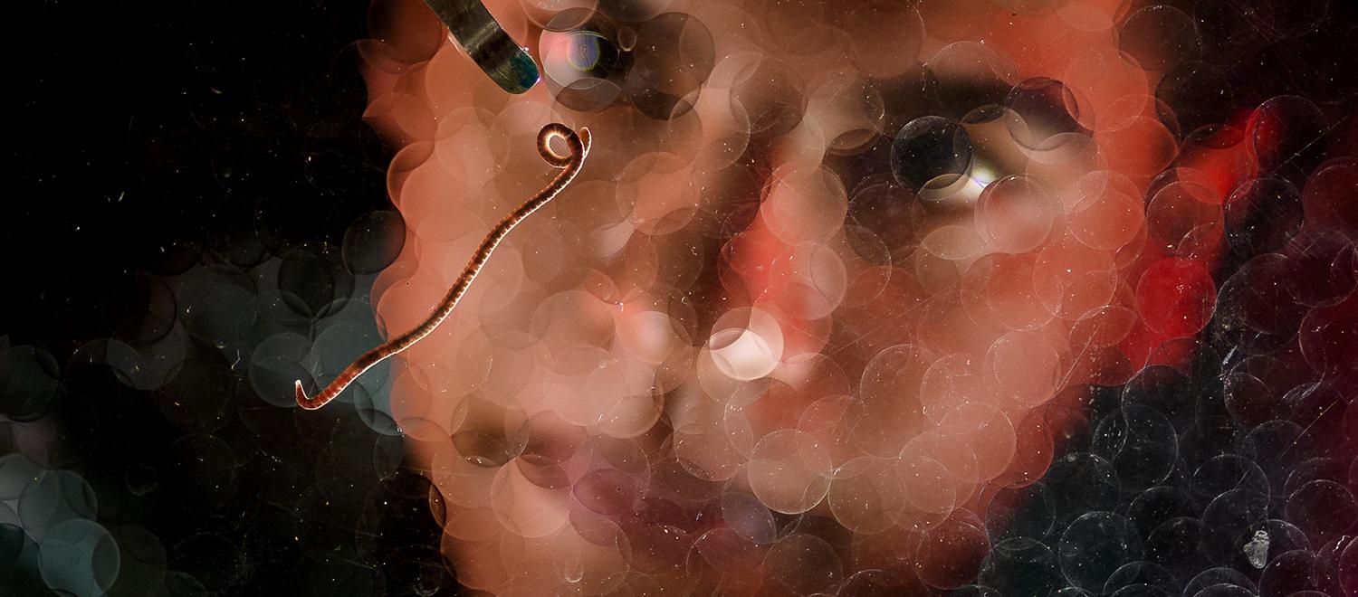 National Academy of Sciences publishes Clark worm study