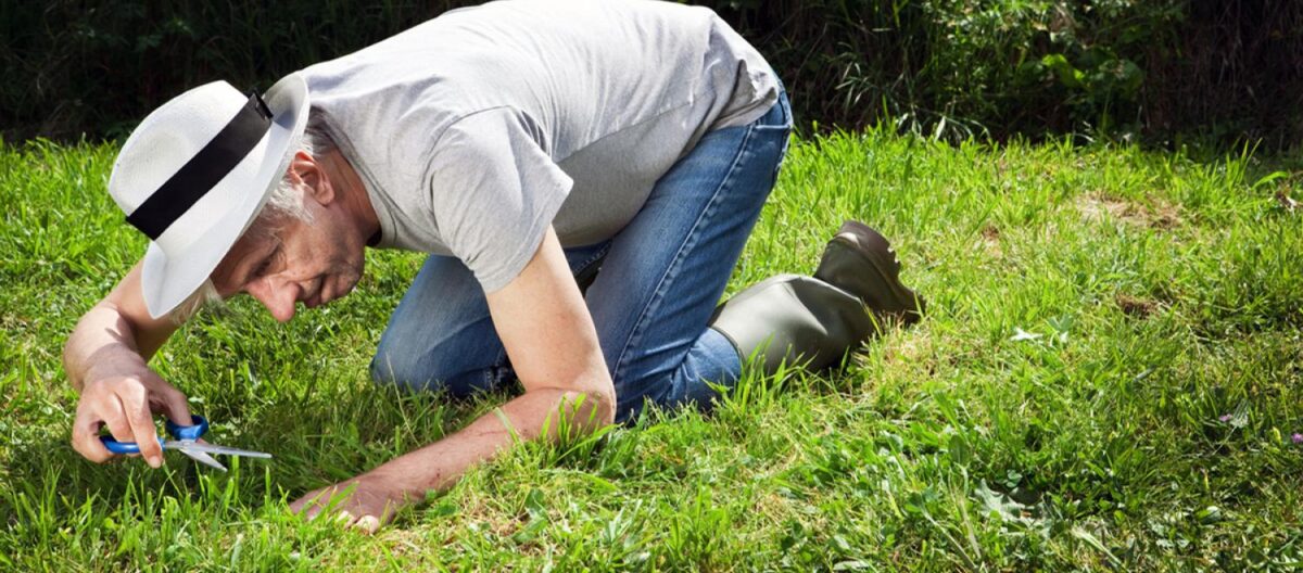 Paul Robbins cutting grass with scissors