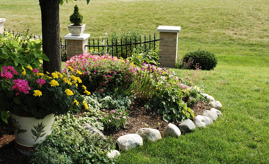 Can we reform the lawn?