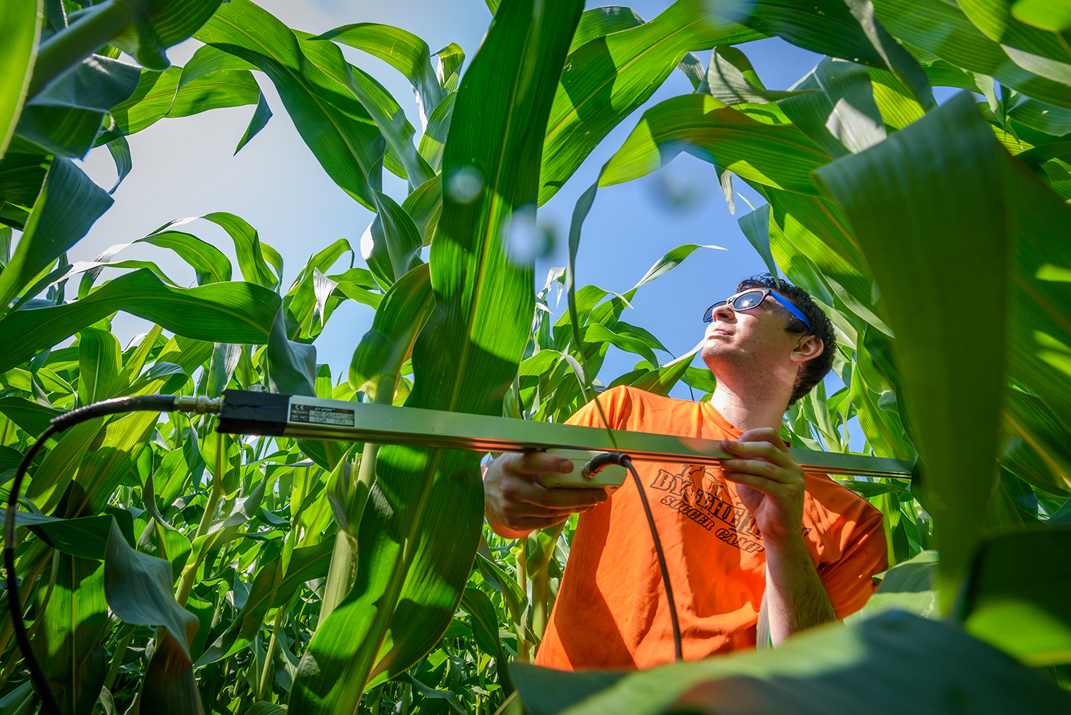 Eli Baldwin stalks answers among the corn