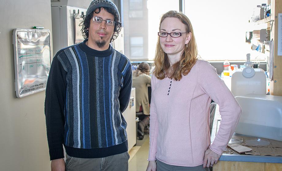 Biologists make inroads into development of nervous systems