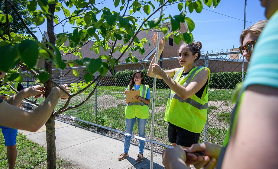 Tree being planted by two studednts