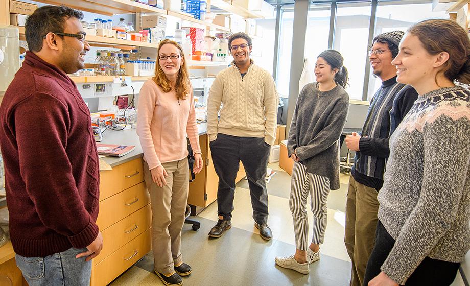 $508,000 NSF award supports Professor Meyer’s research in evolutionary biology