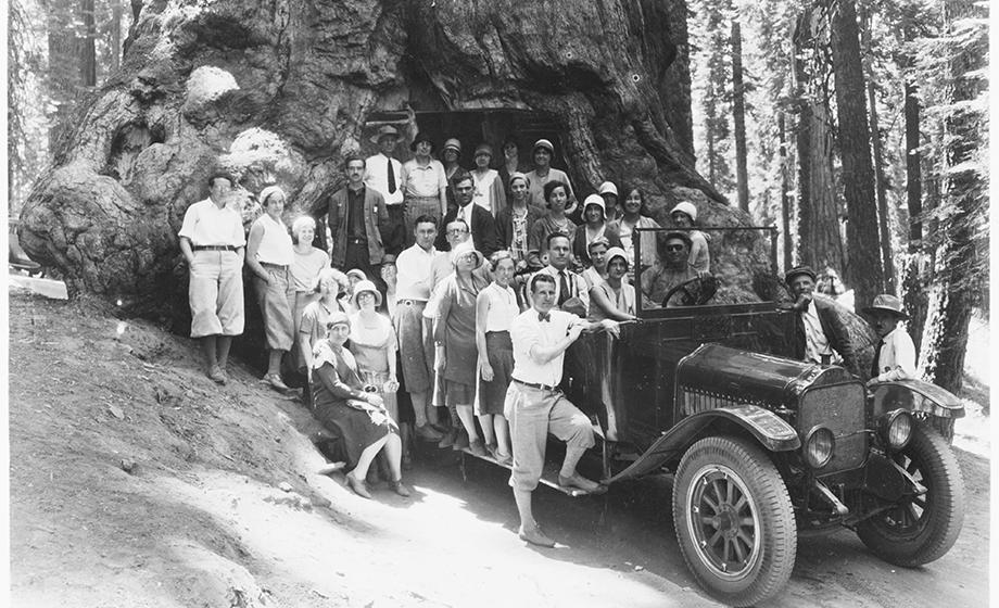 Just your typical 52-day field trip