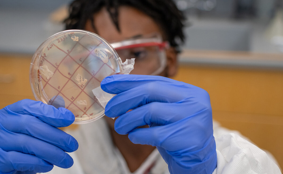 Student conducting research in Tiny Earth lab
