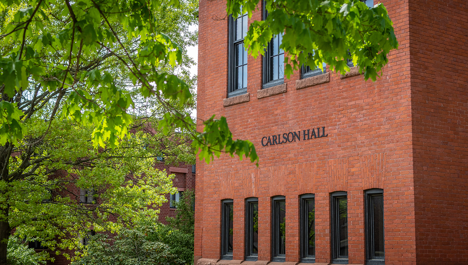 New GSOM faculty to debut courses in business intelligence, investments