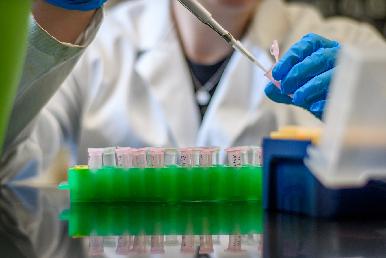 Academic Spree Day 2021 to showcase student research and creative work