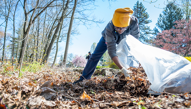 Hadwen Arboretum cleanup