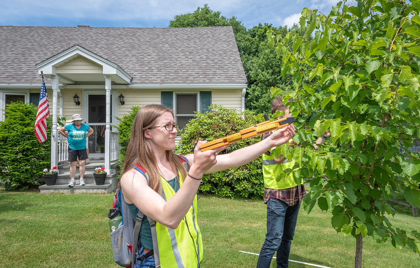 HERO Fellows assess the health of a tree in Leominster,