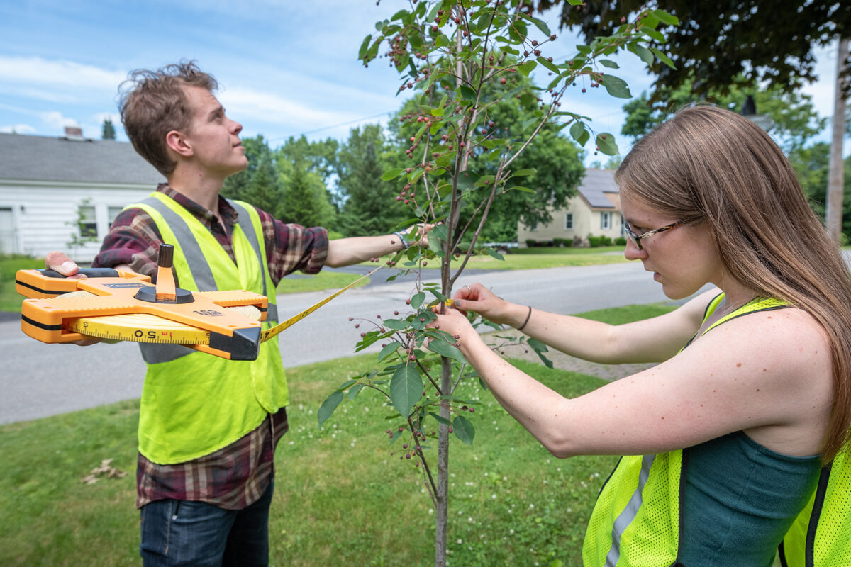 HERO Fellows Benjamin Ryan and Shannan Reault measure a tree in Leominster.