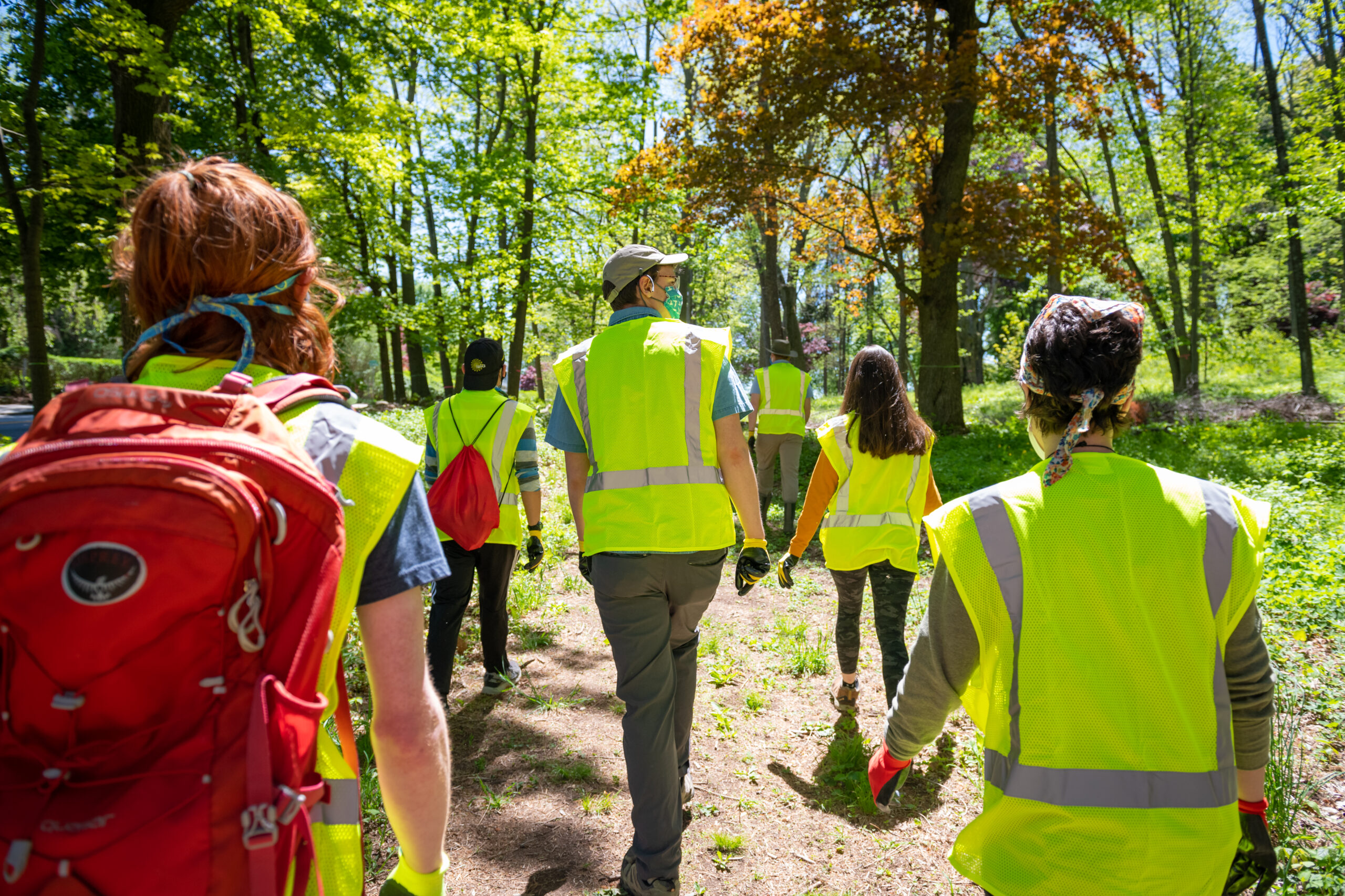 Clark featured in The Princeton Review’s 2022 Guide to Green Colleges
