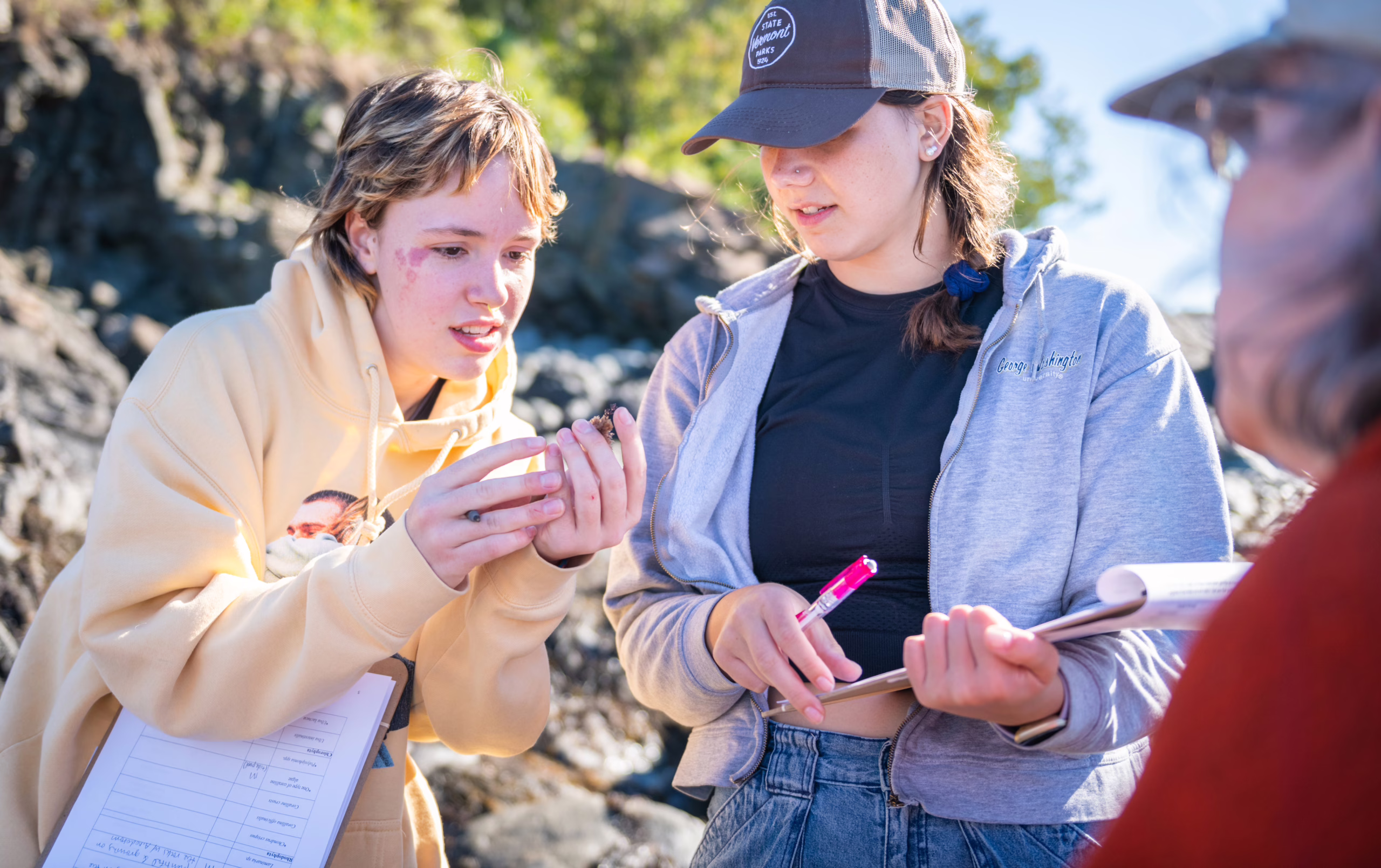 students examine species on rocky coast