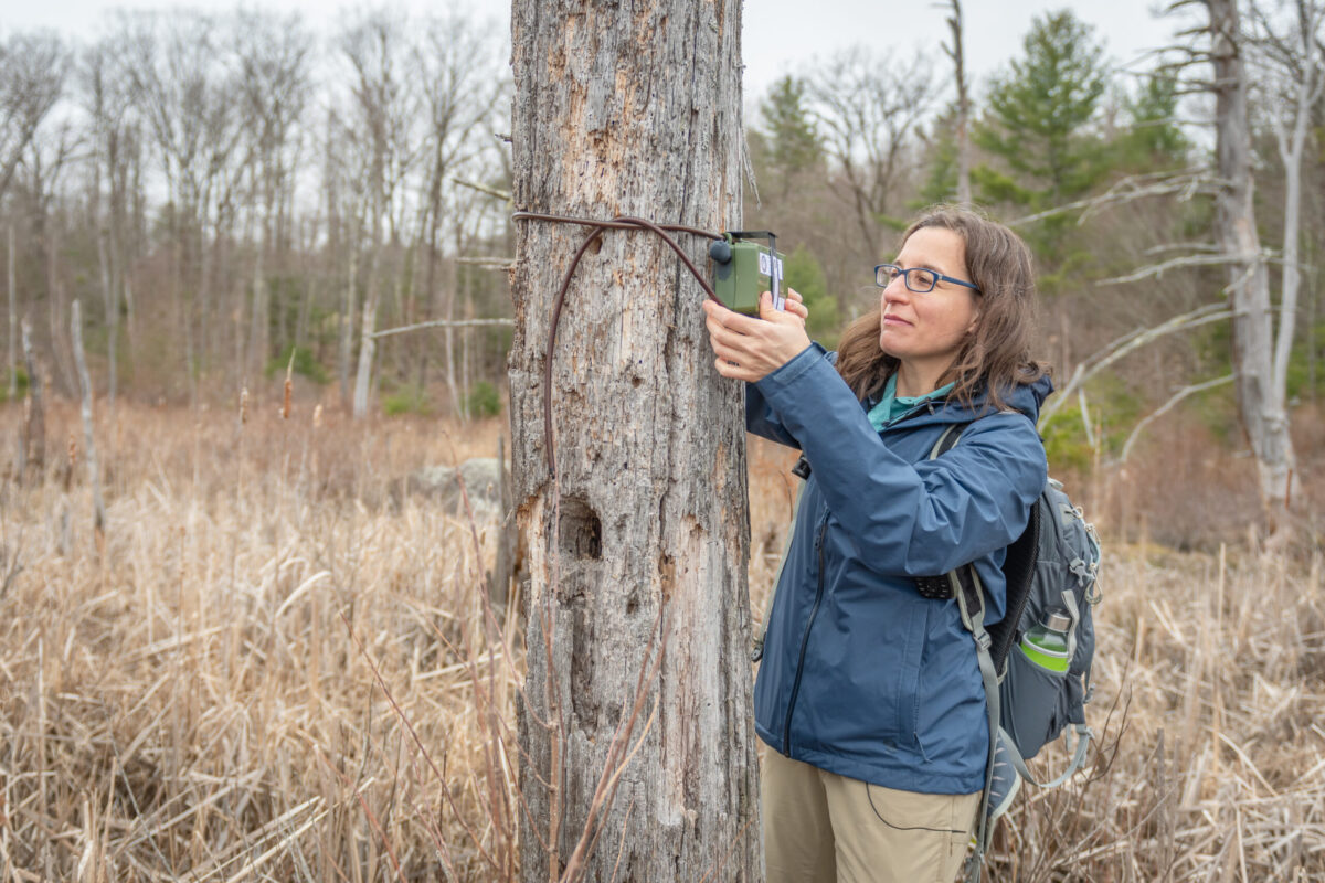 Florencia Sangermano puts audio recorder on tree