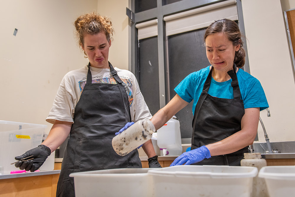 Evolutionary biologist Erin McCullough and student Syd Kochensparger ’25 examining samples collected at Clark's Hadwen Arboretum