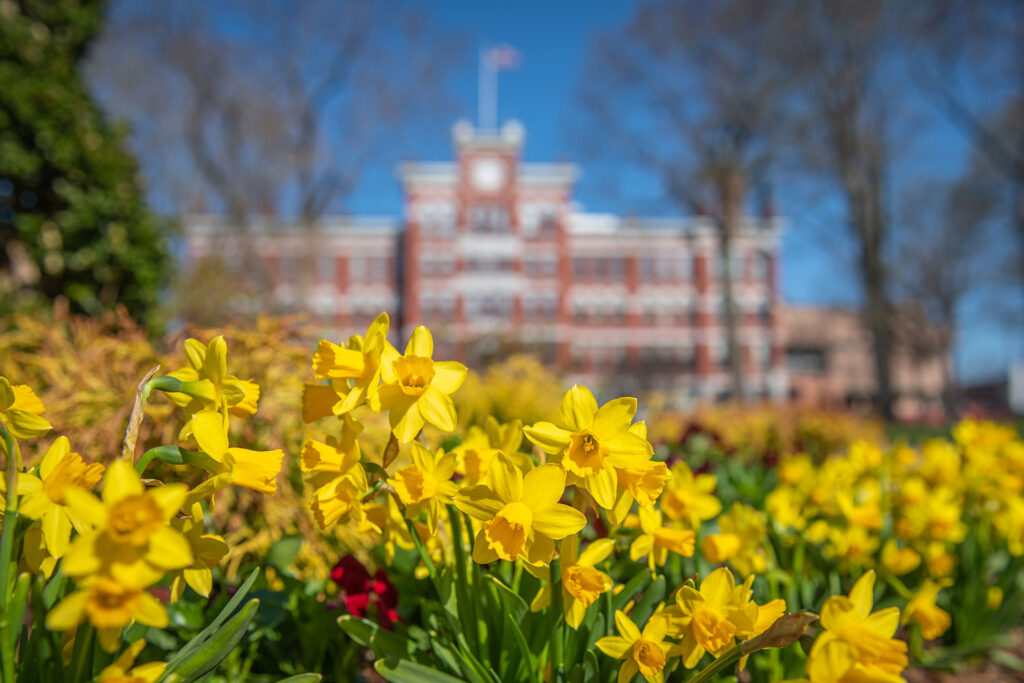 Jonas Clark Hall with daffodils