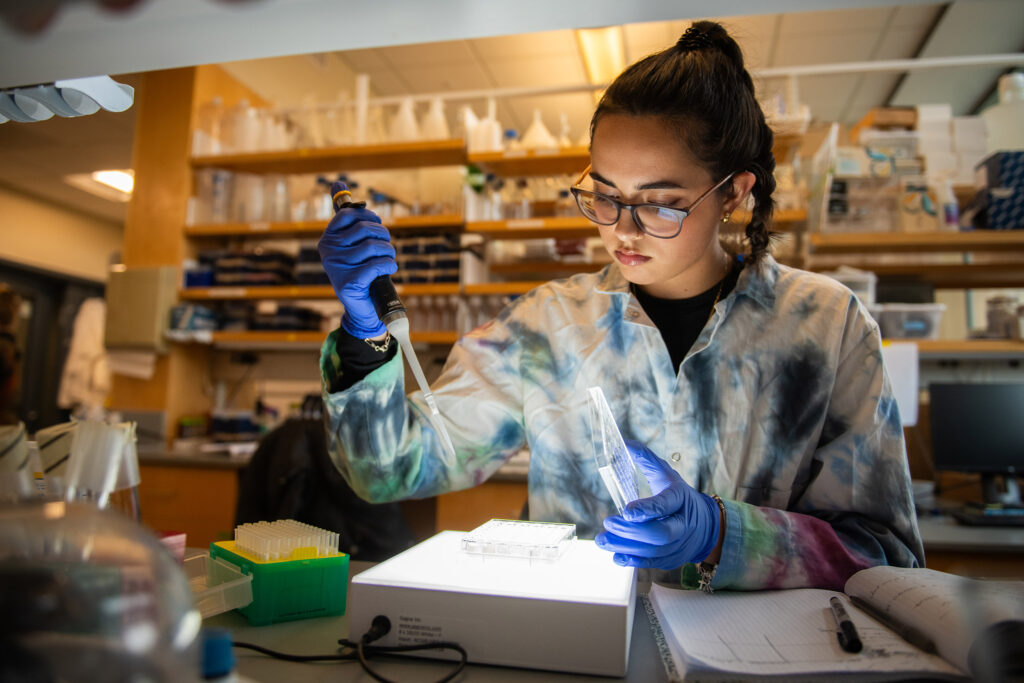 A student wearing a tie-dyed lab coat working with lab samples