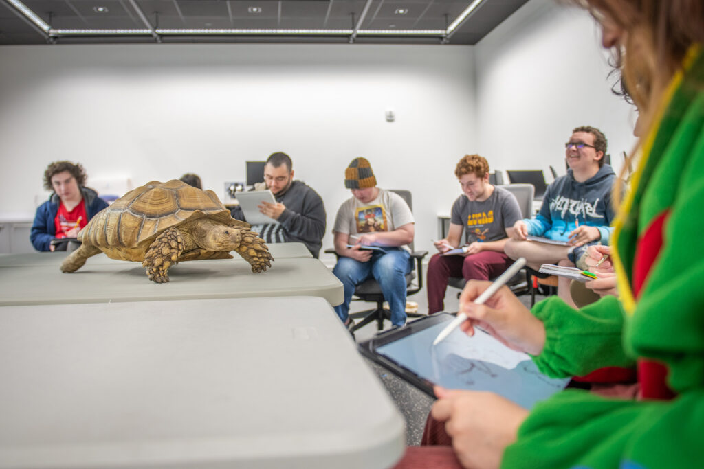 A tortoise in the center of a class where students are creating drawing on tablets for 3D modeling